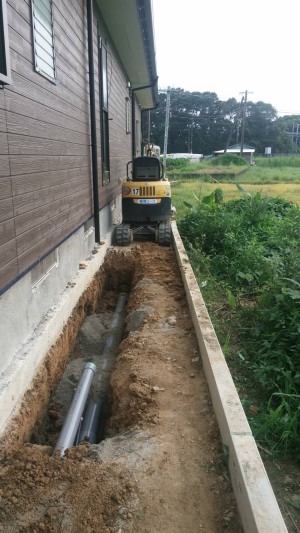 �������H���ʐ^