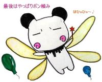 ボンちゃん