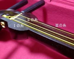 三絃の糸